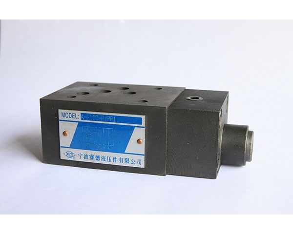  單向閥A-F10D-P/PP1